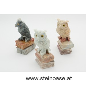 Eule auf Buch - Speckstein Gr.M